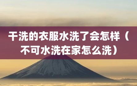 干洗的衣服水洗了会怎样（不可水洗在家怎么洗）