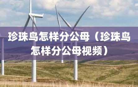 珍珠鸟怎样分公母（珍珠鸟怎样分公母视频）
