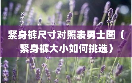 紧身裤尺寸对照表男士图（紧身裤大小如何挑选）