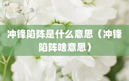 冲锋陷阵是什么意思（冲锋陷阵啥意思）