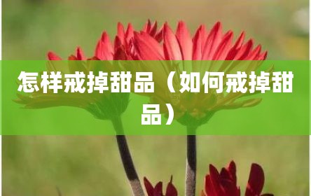 怎样戒掉甜品（如何戒掉甜品）