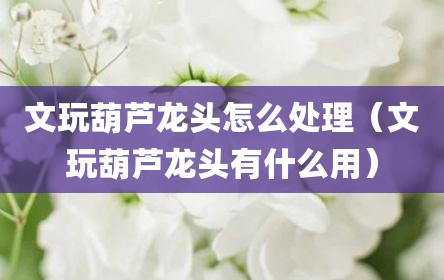 文玩葫芦龙头怎么处理（文玩葫芦龙头有什么用）