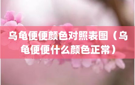 乌龟便便颜色对照表图（乌龟便便什么颜色正常）