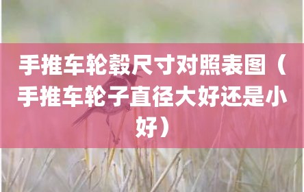 手推车轮毂尺寸对照表图（手推车轮子直径大好还是小好）