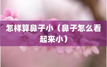 怎样算鼻子小（鼻子怎么看起来小）