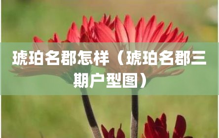 琥珀名郡怎样（琥珀名郡三期户型图）