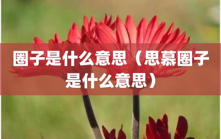 圈子是什么意思（思慕圈子是什么意思）