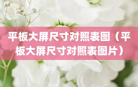 平板大屏尺寸对照表图（平板大屏尺寸对照表图片）