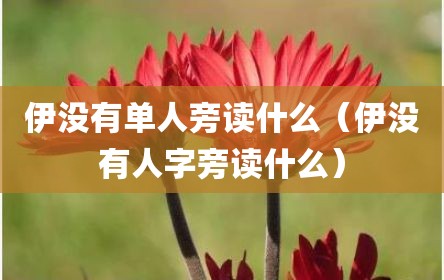 伊没有单人旁读什么（伊没有人字旁读什么）