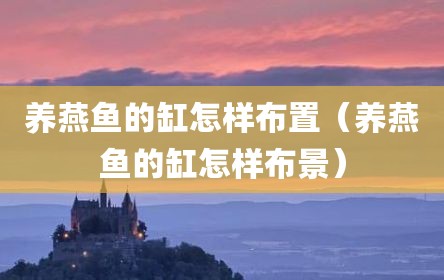 养燕鱼的缸怎样布置（养燕鱼的缸怎样布景）
