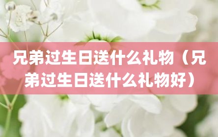 兄弟过生日送什么礼物（兄弟过生日送什么礼物好）