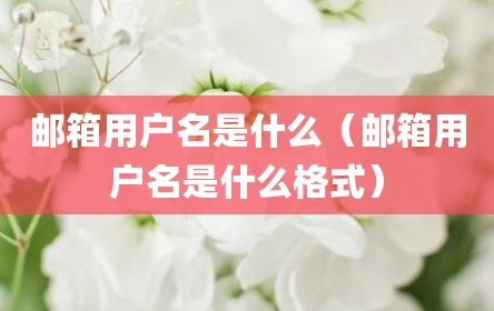 邮箱用户名是什么（邮箱用户名是什么格式）