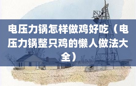 电压力锅怎样做鸡好吃（电压力锅整只鸡的懒人做法大全）