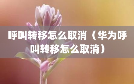 呼叫转移怎么取消（华为呼叫转移怎么取消）
