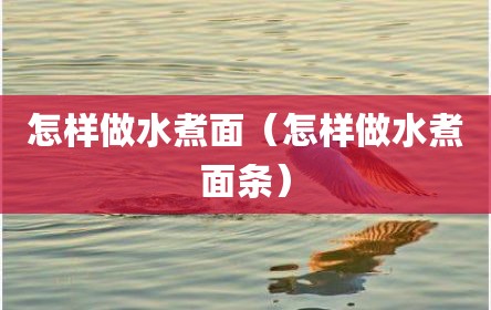 怎样做水煮面（怎样做水煮面条）