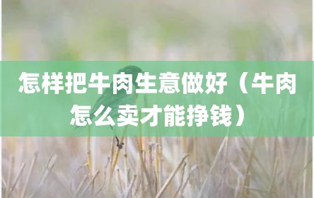 怎样把牛肉生意做好（牛肉怎么卖才能挣钱）