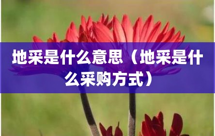 地采是什么意思（地采是什么采购方式）