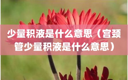 少量积液是什么意思（宫颈管少量积液是什么意思）