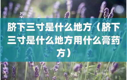 脐下三寸是什么地方（脐下三寸是什么地方用什么膏药方）
