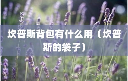 坎普斯背包有什么用（坎普斯的袋子）