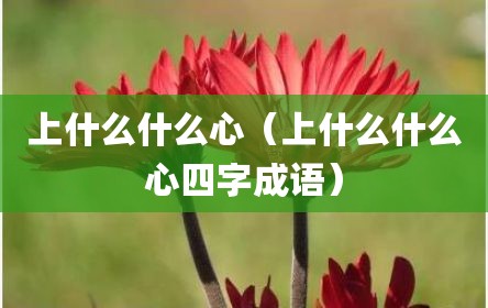 上什么什么心（上什么什么心四字成语）