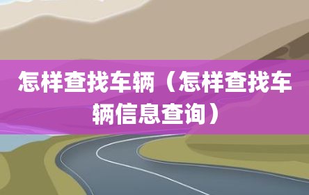 怎样查找车辆（怎样查找车辆信息查询）