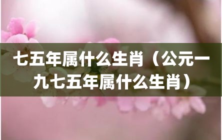七五年属什么生肖（公元一九七五年属什么生肖）