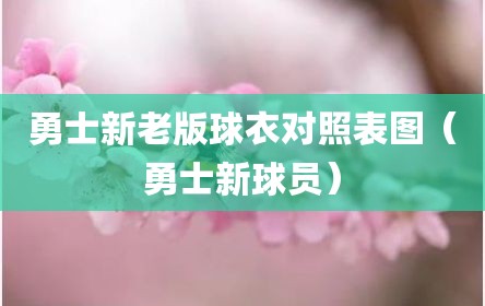 勇士新老版球衣对照表图（勇士新球员）