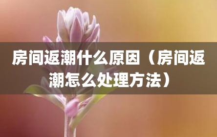 房间返潮什么原因（房间返潮怎么处理方法）