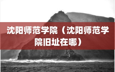 沈阳师范学院（沈阳师范学院旧址在哪）