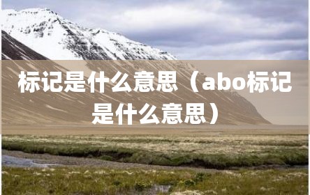 标记是什么意思（abo标记是什么意思）