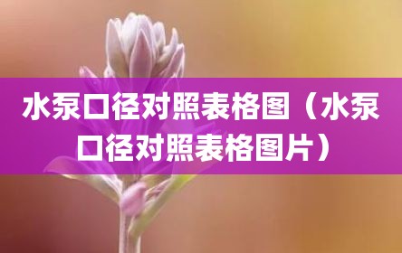 水泵口径对照表格图（水泵口径对照表格图片）