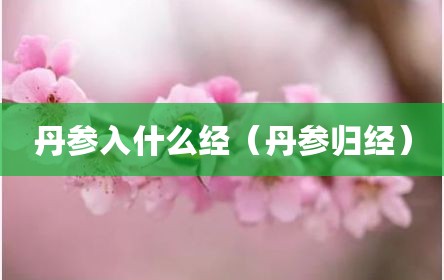 丹参入什么经（丹参归经）