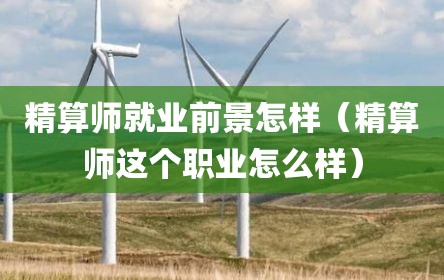 精算师就业前景怎样（精算师这个职业怎么样）