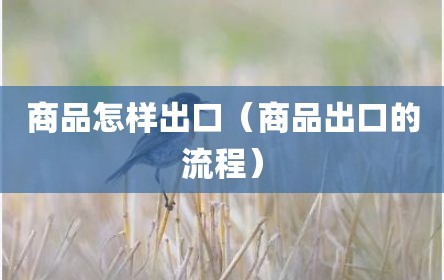 商品怎样出口（商品出口的流程）