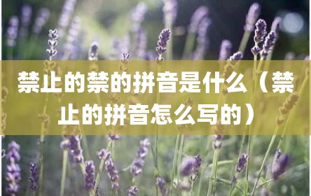 禁止的禁的拼音是什么（禁止的拼音怎么写的）