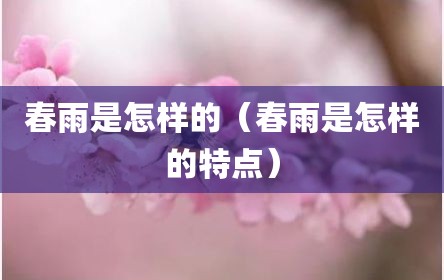 春雨是怎样的（春雨是怎样的特点）