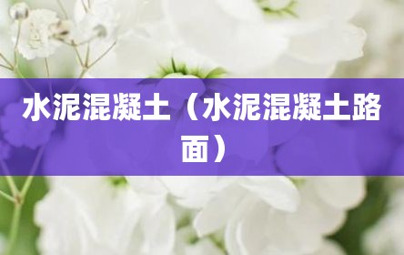 水泥混凝土（水泥混凝土路面）