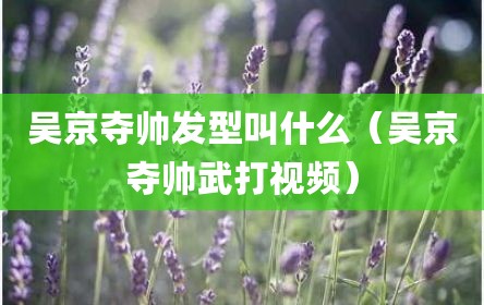 吴京夺帅发型叫什么（吴京夺帅武打视频）