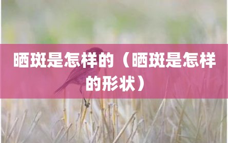 晒斑是怎样的（晒斑是怎样的形状）