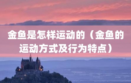 金鱼是怎样运动的（金鱼的运动方式及行为特点）