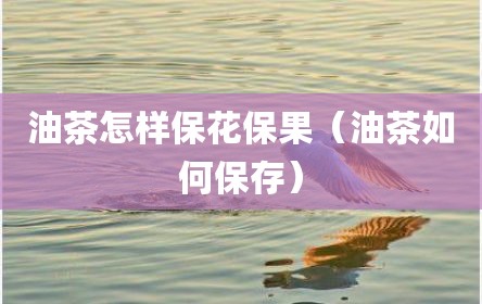 油茶怎样保花保果（油茶如何保存）