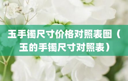 玉手镯尺寸价格对照表图（玉的手镯尺寸对照表）