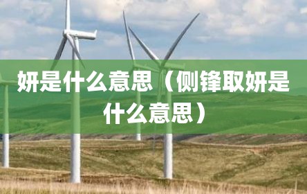 妍是什么意思（侧锋取妍是什么意思）