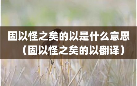 固以怪之矣的以是什么意思（固以怪之矣的以翻译）