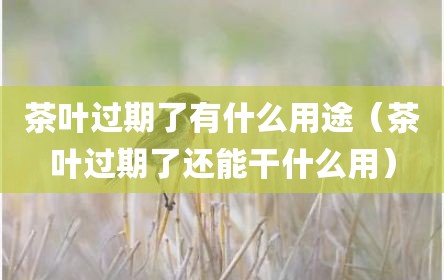 茶叶过期了有什么用途（茶叶过期了还能干什么用）