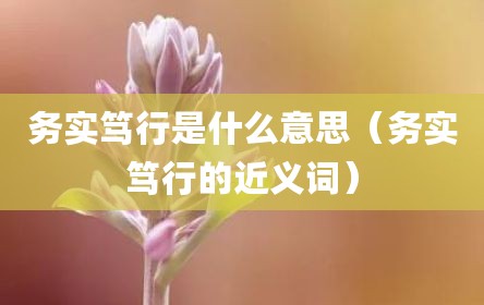 务实笃行是什么意思（务实笃行的近义词）