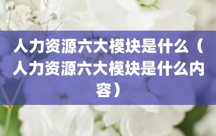 人力资源六大模块是什么（人力资源六大模块是什么内容）