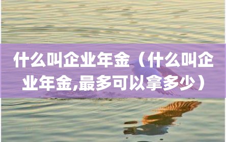 什么叫企业年金（什么叫企业年金,最多可以拿多少）