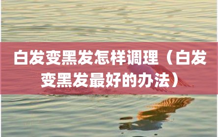 白发变黑发怎样调理（白发变黑发最好的办法）